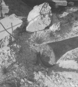 Prior to its removal and restoration, a 6-inch barrel ex-HMAS BRISBANE (I) lying partially buried amongst rubble at the former Bickley Battery site on Rottnest Island in the late 1970's. Photo: Vic Jeffery 